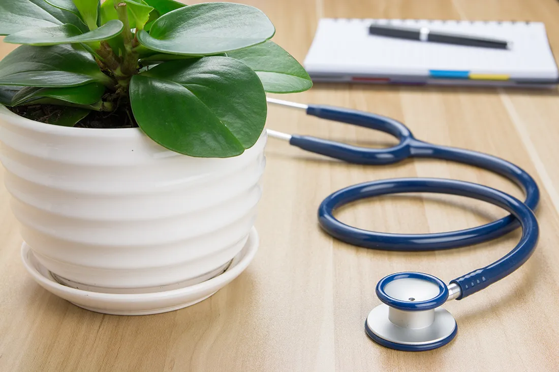Peptide Doctors office with plant and stethoscope